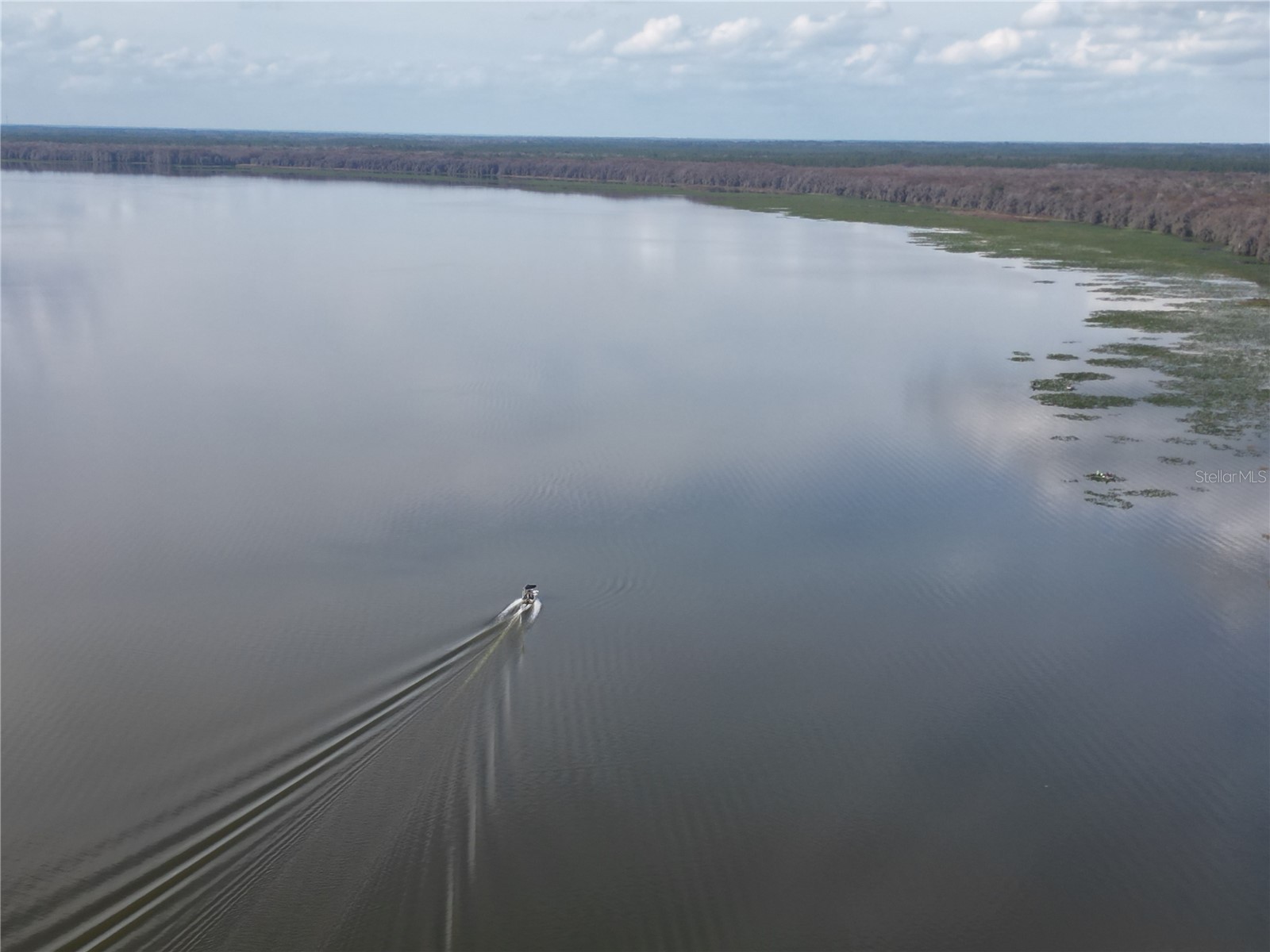 13813 SE 201st Terrace Hawthorne FL 32640 GC536467 image5