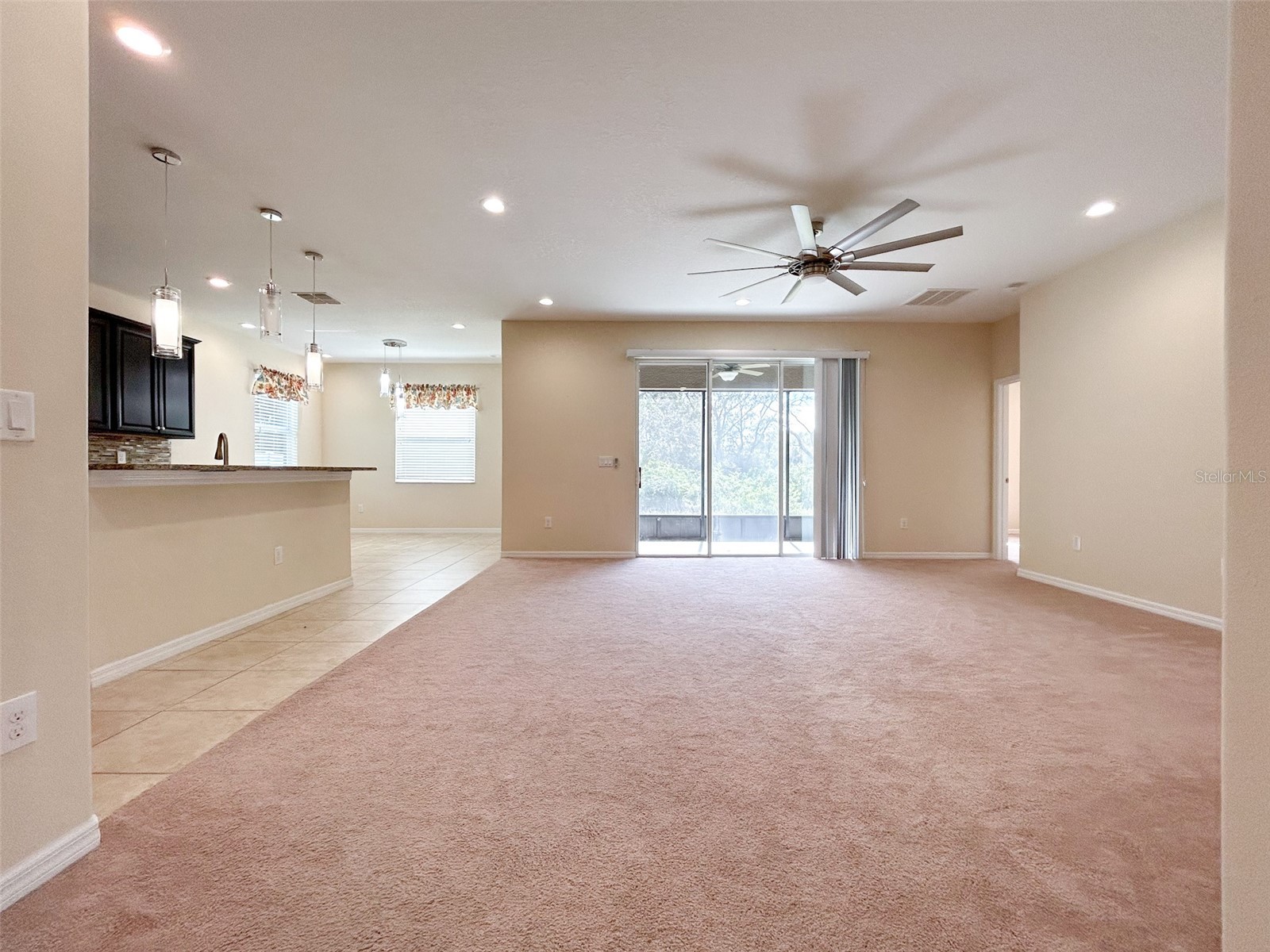 13814 Bee Tree Court Hudson FL 34669 TB8498971 image20
