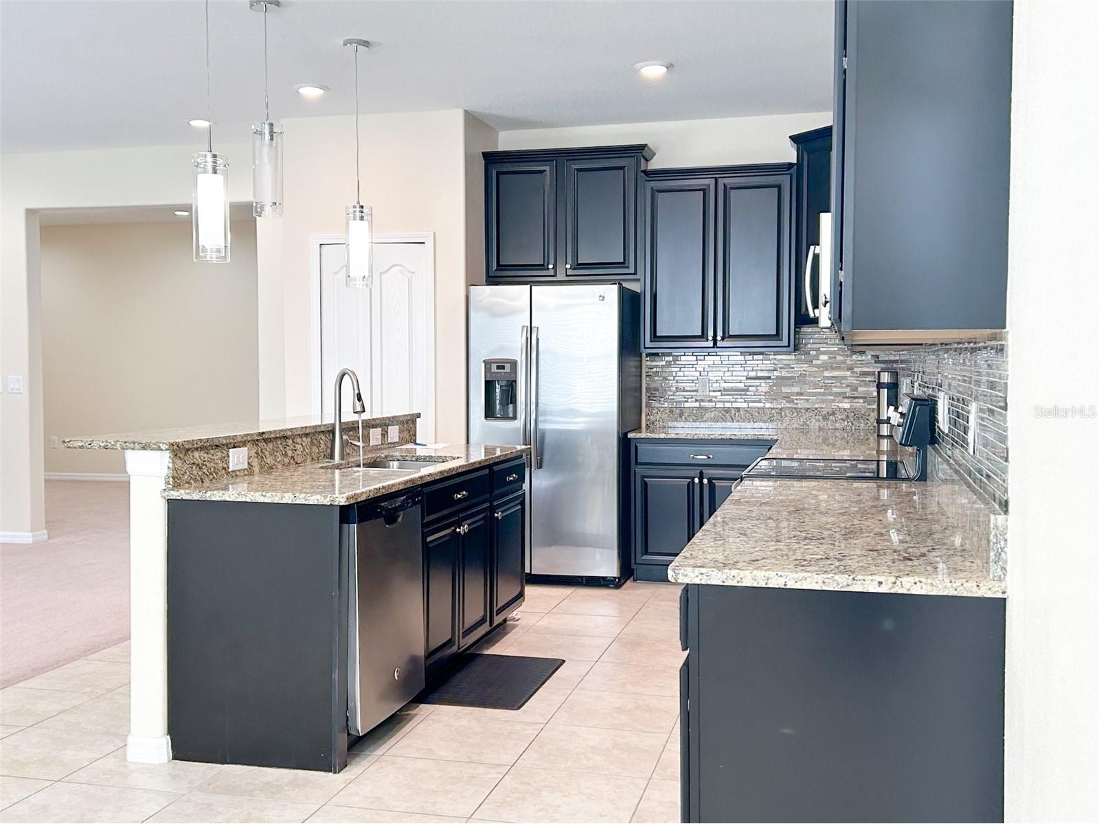 13814 Bee Tree Court Hudson FL 34669 TB8498971 image25