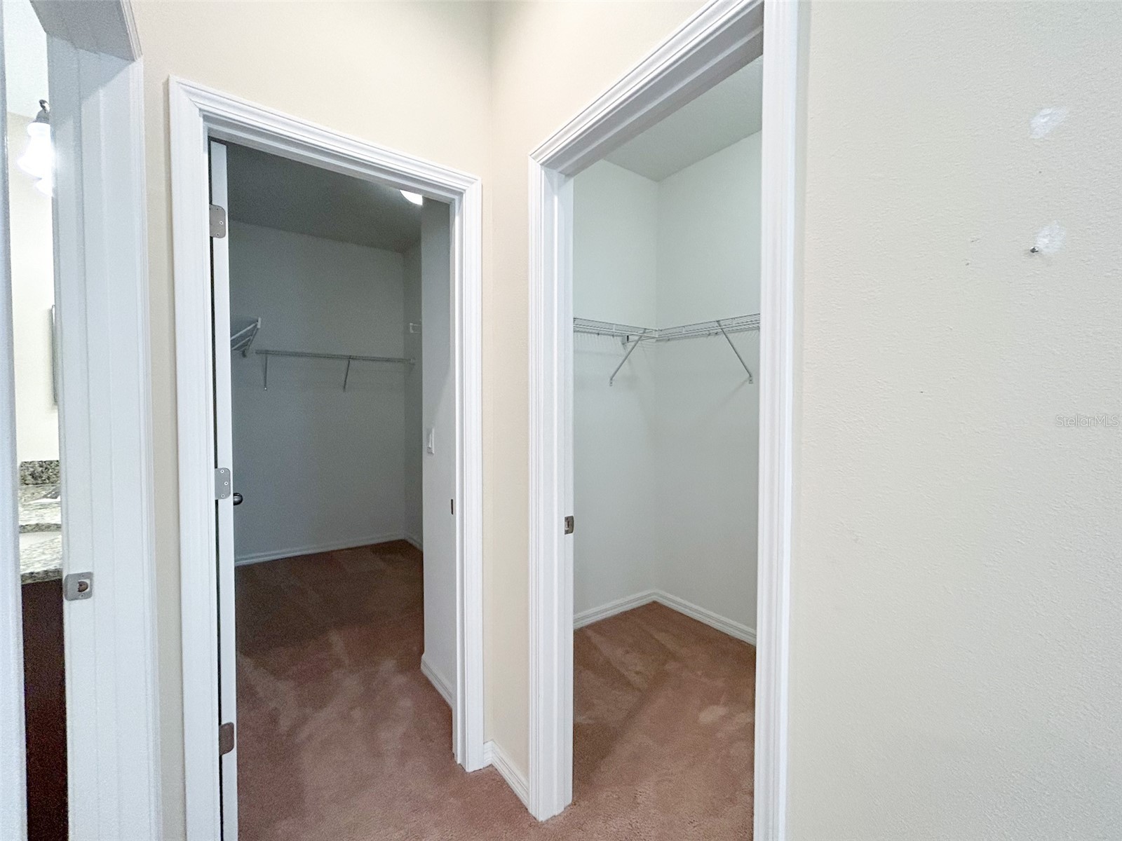 13814 Bee Tree Court Hudson FL 34669 TB8498971 image36