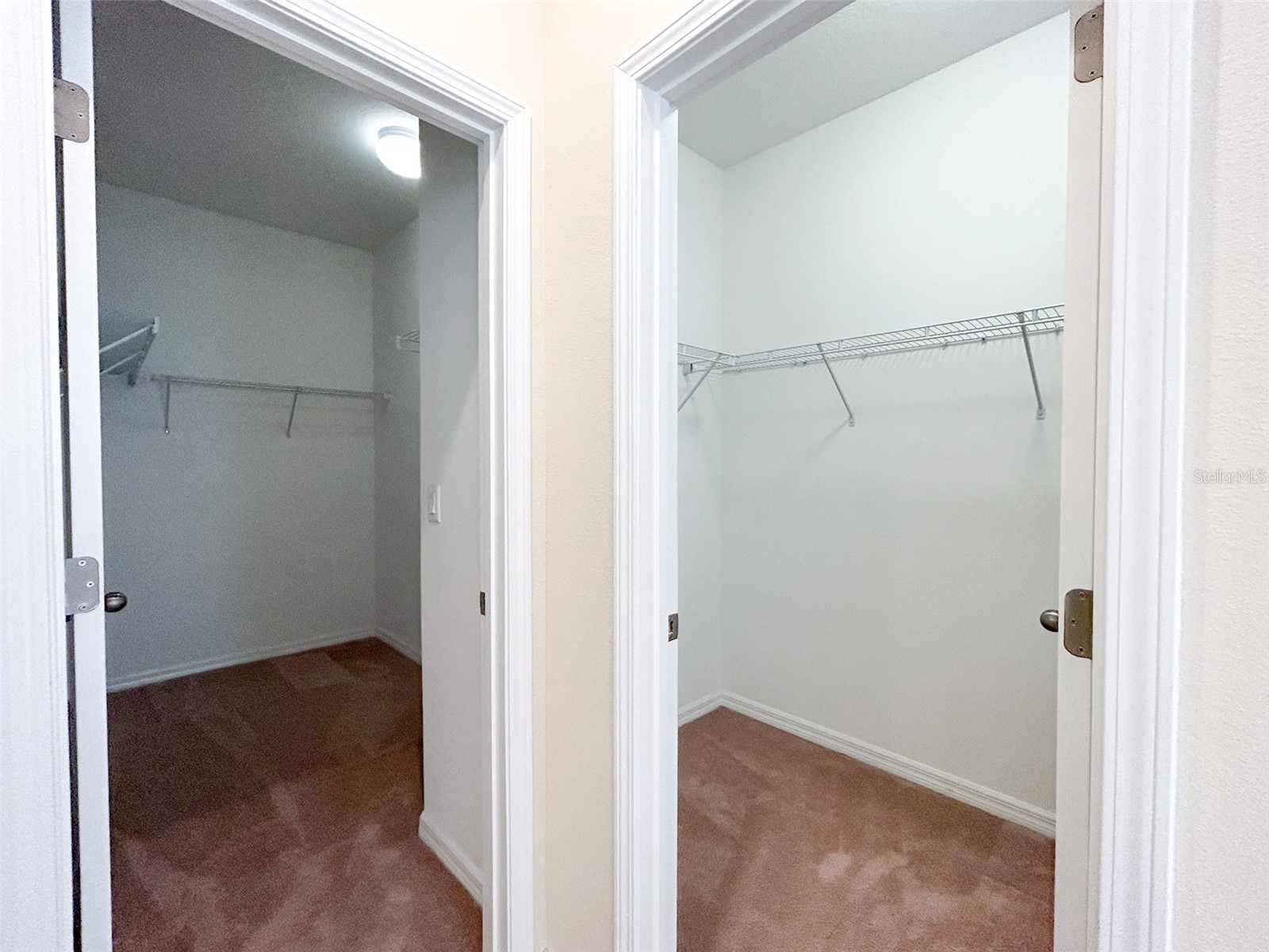 13814 Bee Tree Court Hudson FL 34669 TB8498971 image37