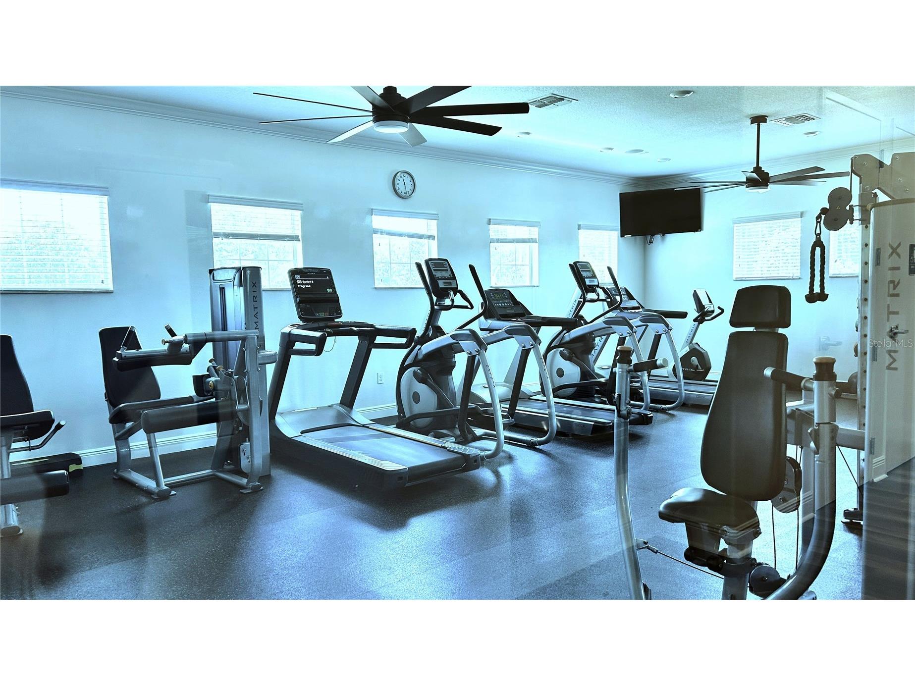 13814 Bee Tree Court Hudson FL 34669 TB8498971 image55