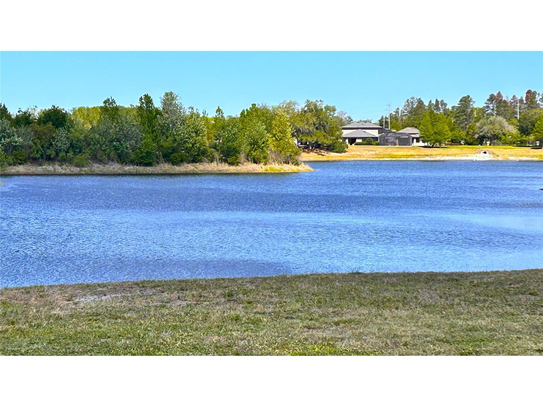 13814 Bee Tree Court Hudson FL 34669 TB8498971 image63