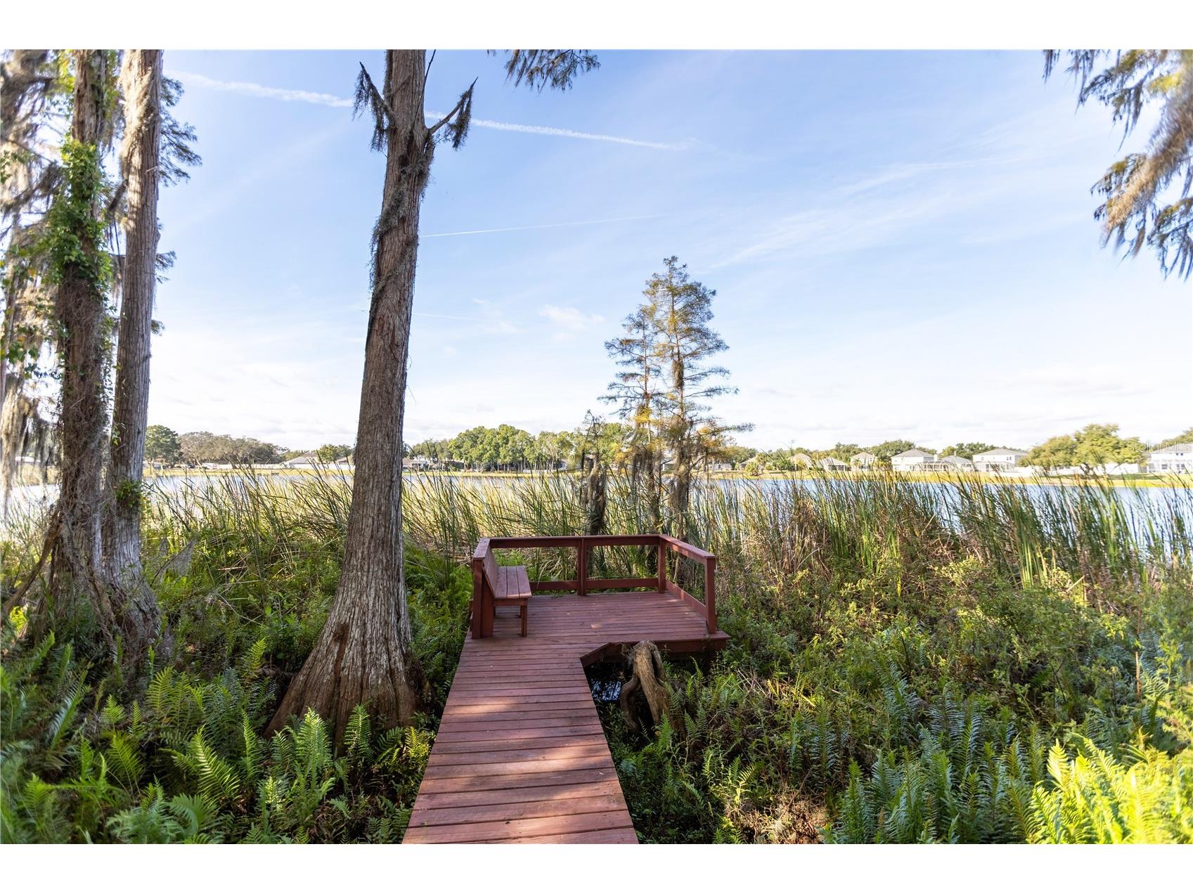 13815 Chandron Drive Odessa FL 33556 TB8447114 image12