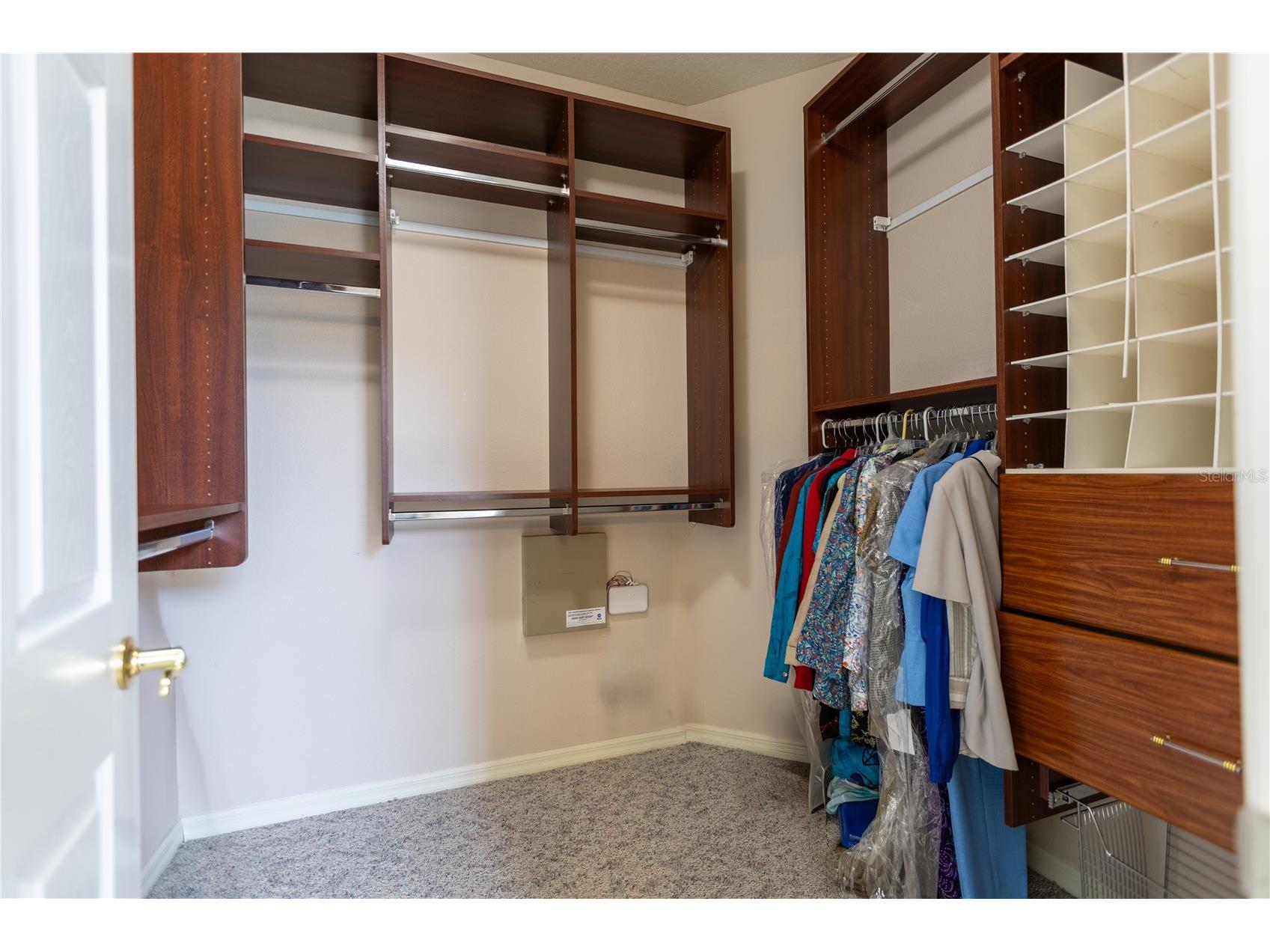 13815 Chandron Drive Odessa FL 33556 TB8447114 image18