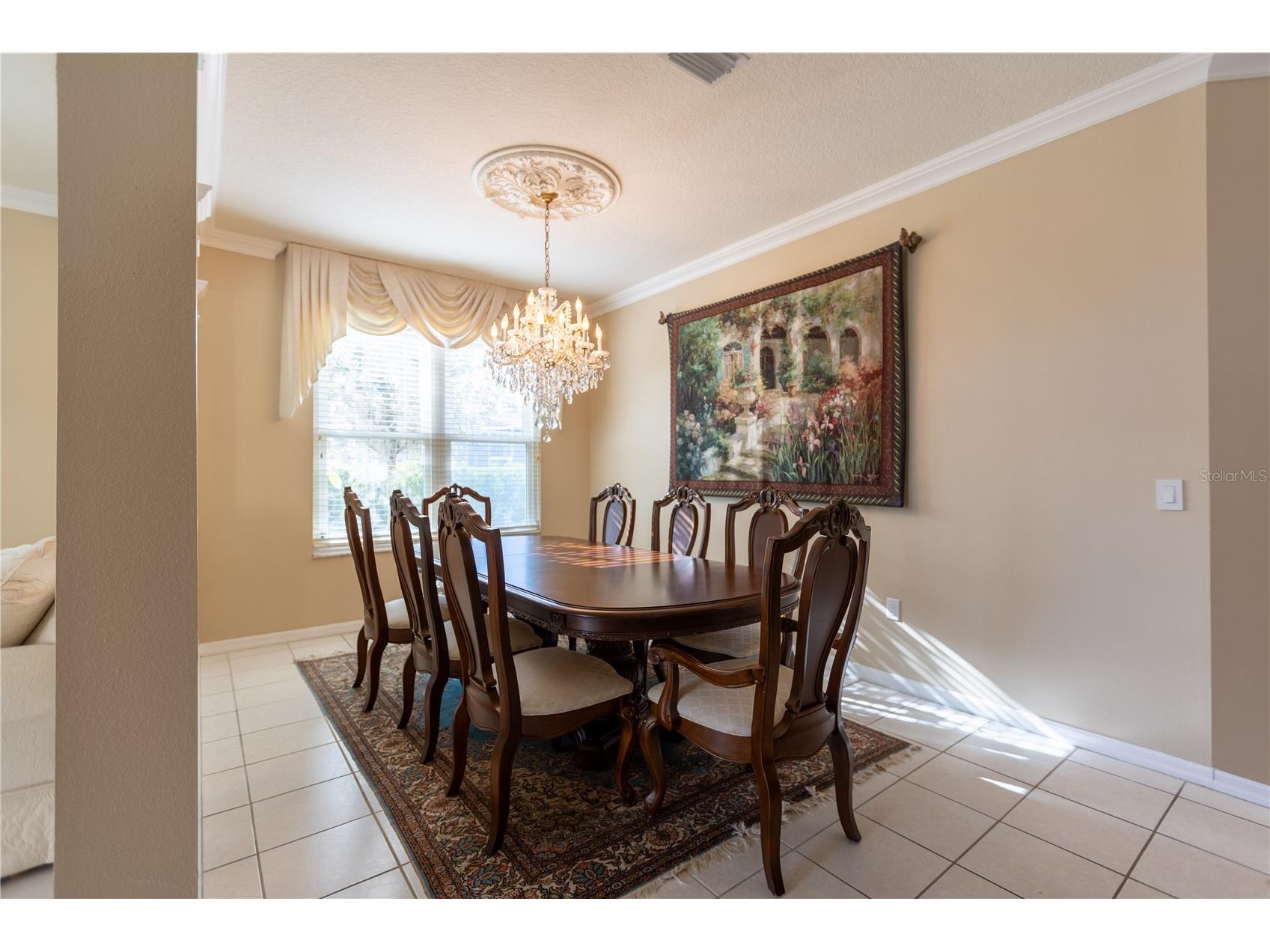 13815 Chandron Drive Odessa FL 33556 TB8447114 image22