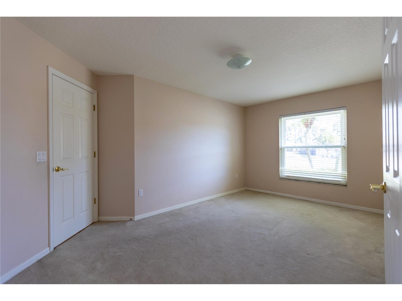 13815 Chandron Drive Odessa FL 33556 TB8447114 image25