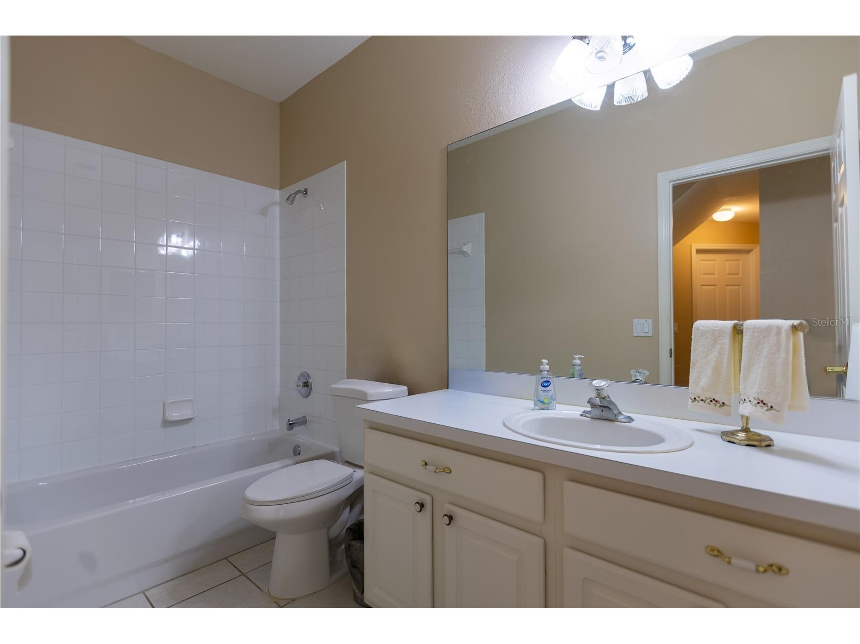 13815 Chandron Drive Odessa FL 33556 TB8447114 image26