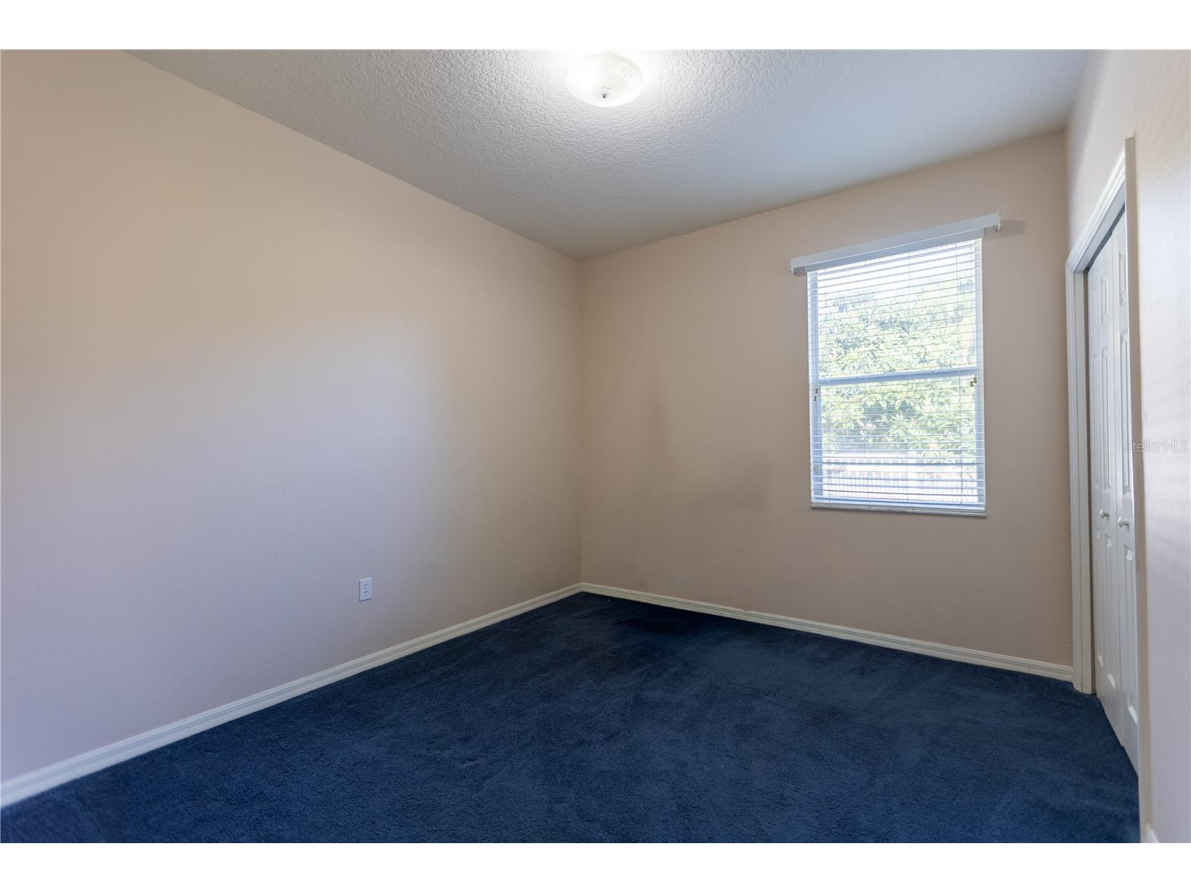 13815 Chandron Drive Odessa FL 33556 TB8447114 image27