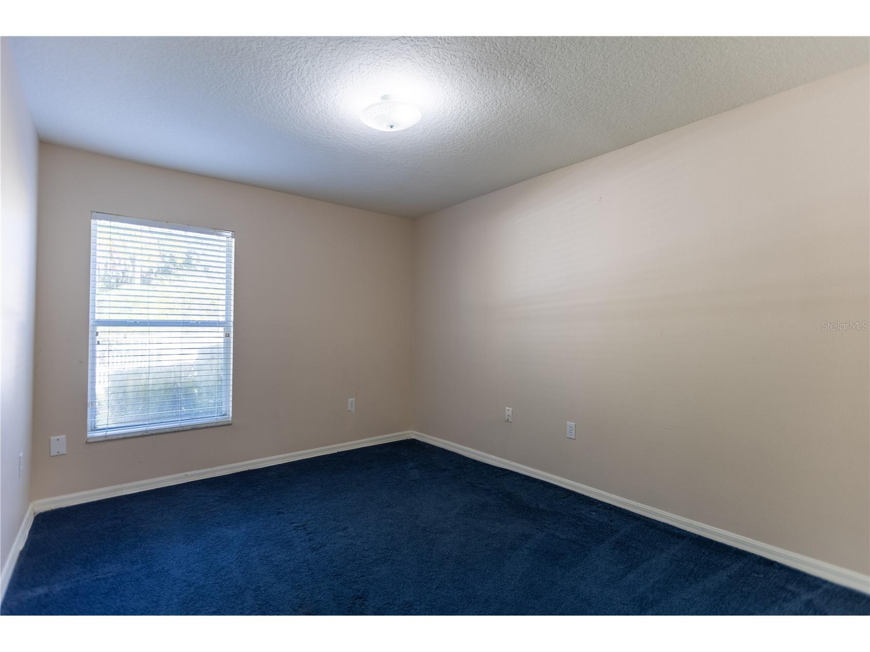 13815 Chandron Drive Odessa FL 33556 TB8447114 image28