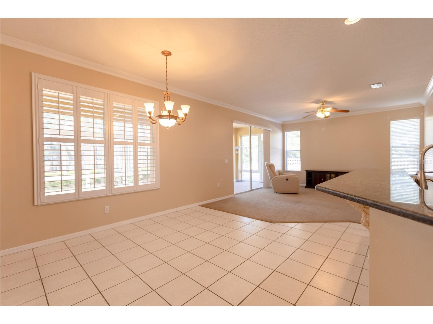 13815 Chandron Drive Odessa FL 33556 TB8447114 image3