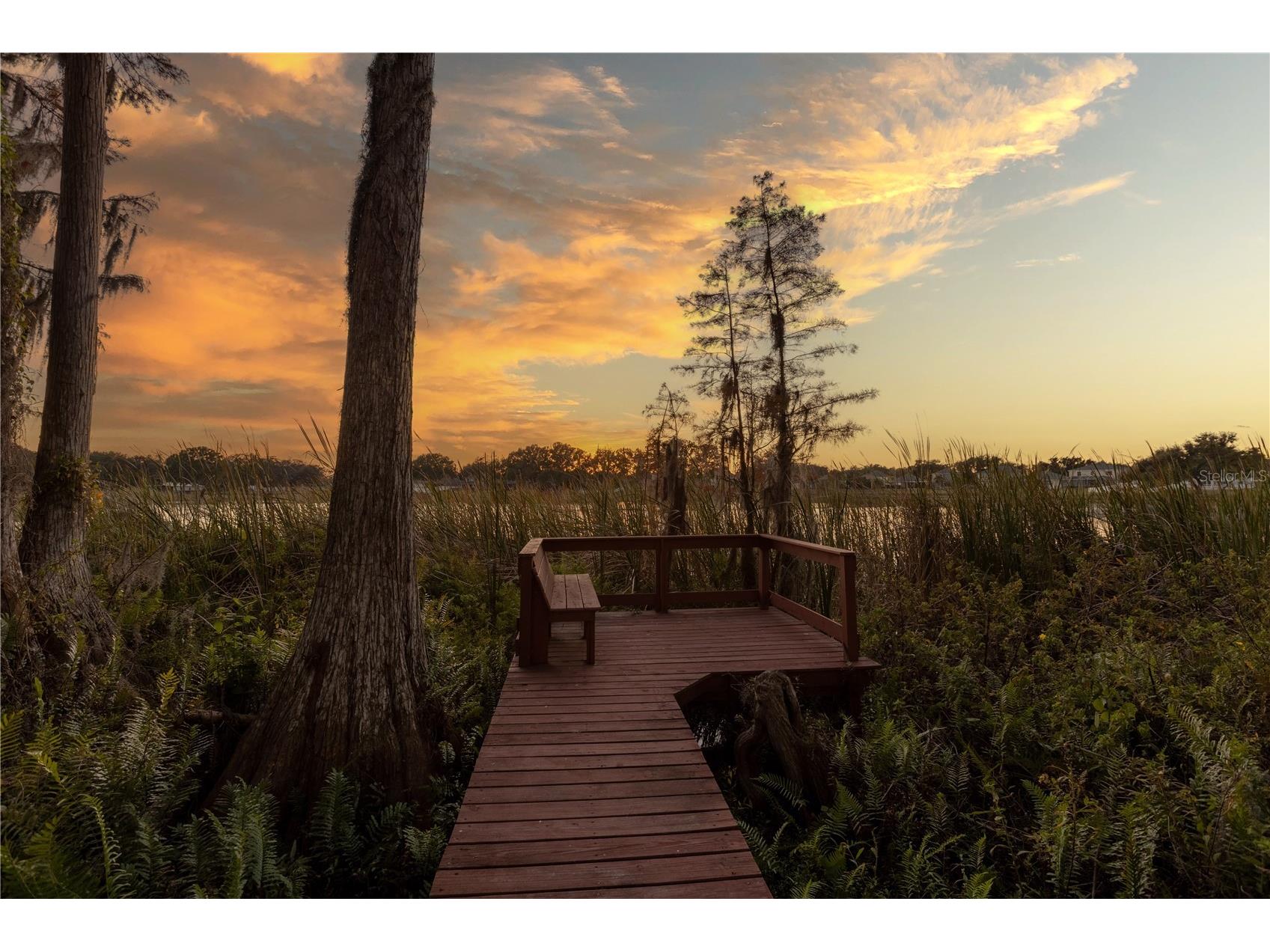 13815 Chandron Drive Odessa FL 33556 TB8447114 image32