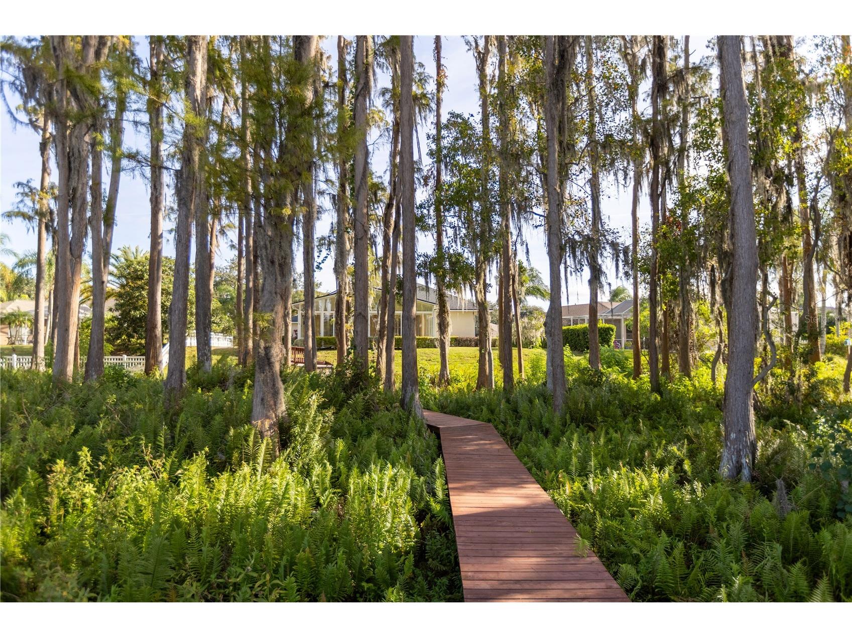 13815 Chandron Drive Odessa FL 33556 TB8447114 image9