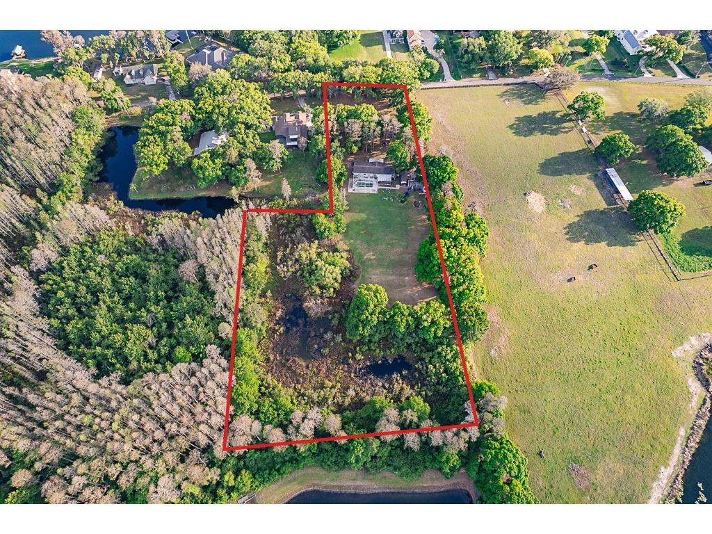 13815 Plainview Road Odessa FL 33556 TB8504016 image12