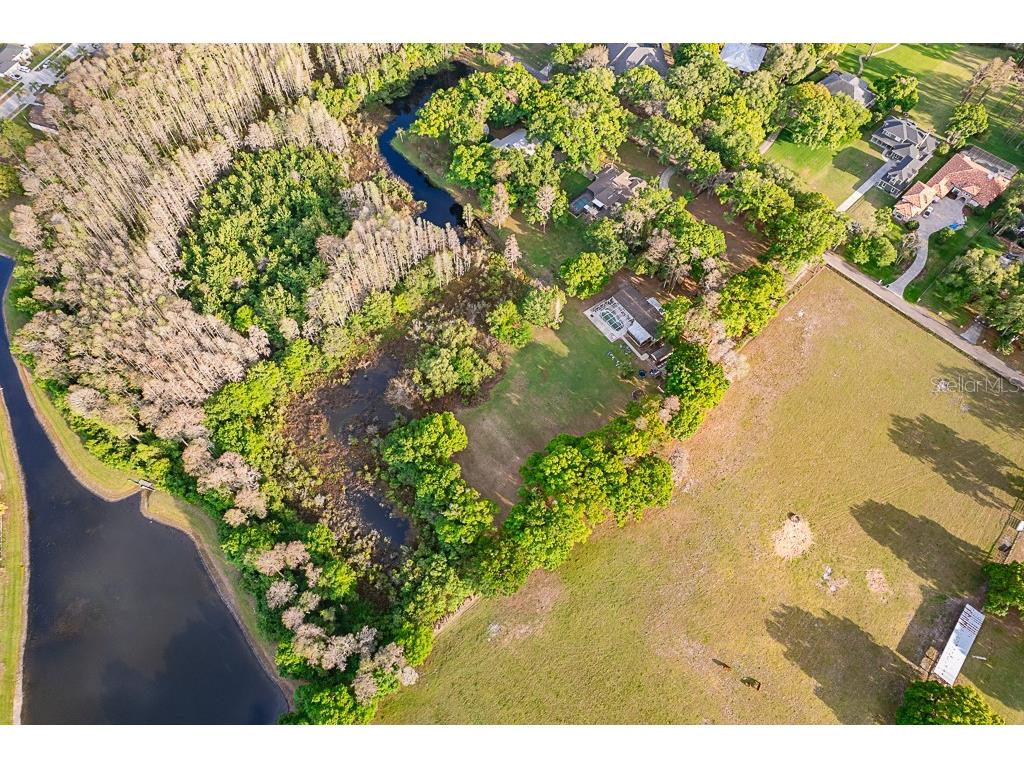 13815 Plainview Road Odessa FL 33556 TB8504016 image13