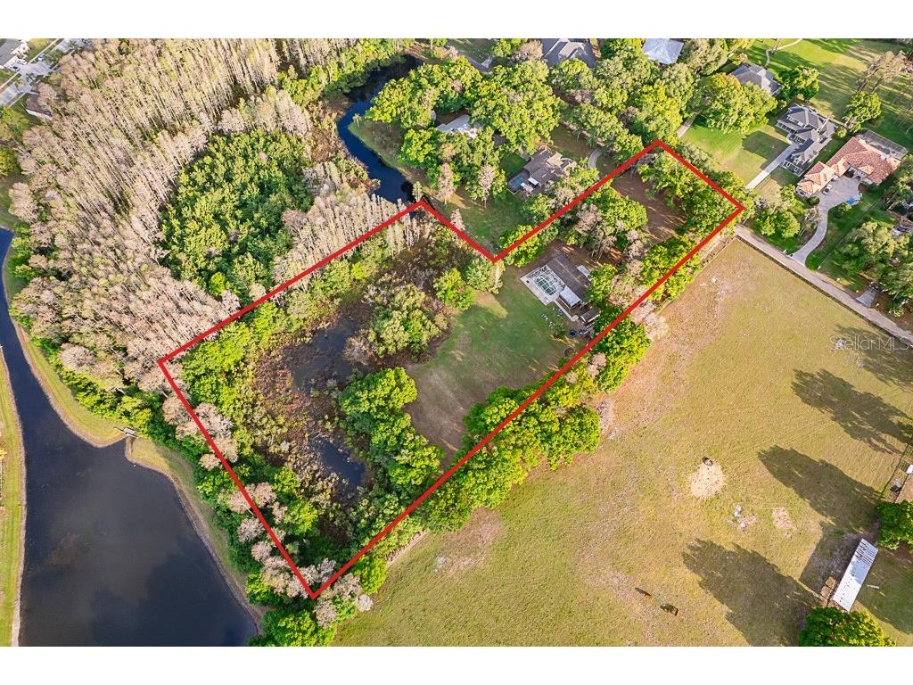 13815 Plainview Road Odessa FL 33556 TB8504016 image14