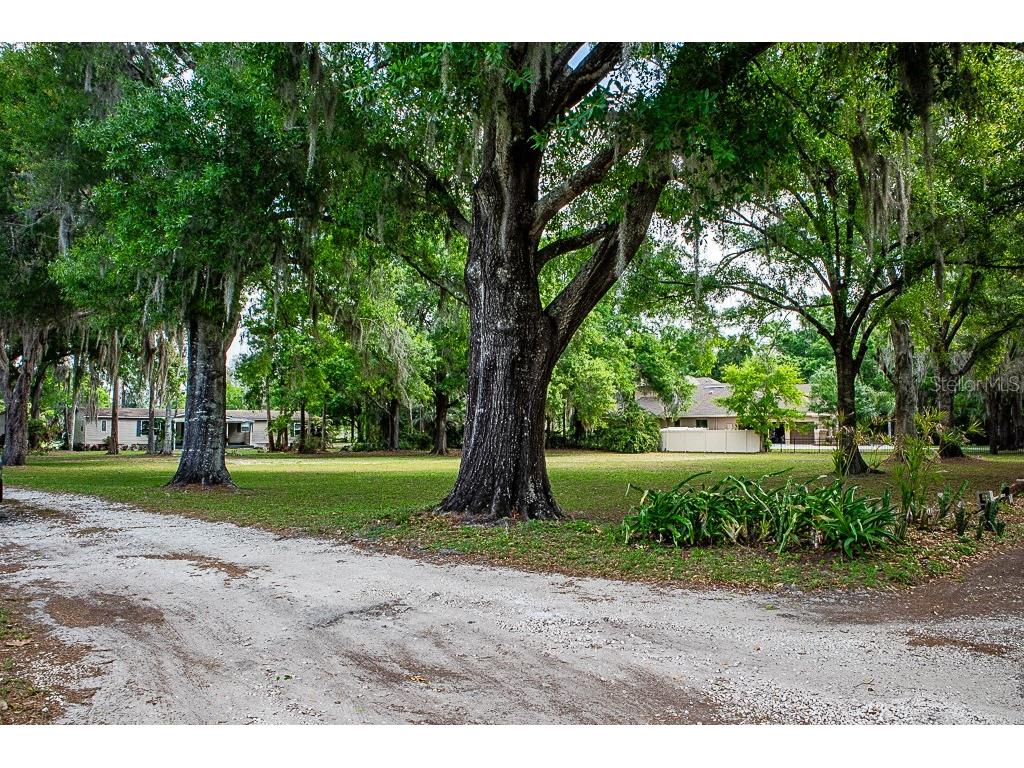 13815 Plainview Road Odessa FL 33556 TB8504016 image19