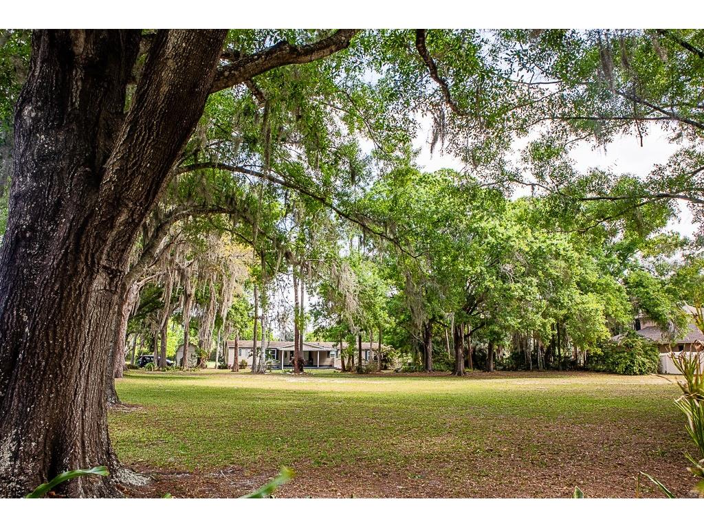 13815 Plainview Road Odessa FL 33556 TB8504016 image23