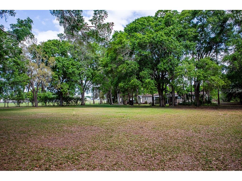 13815 Plainview Road Odessa FL 33556 TB8504016 image25