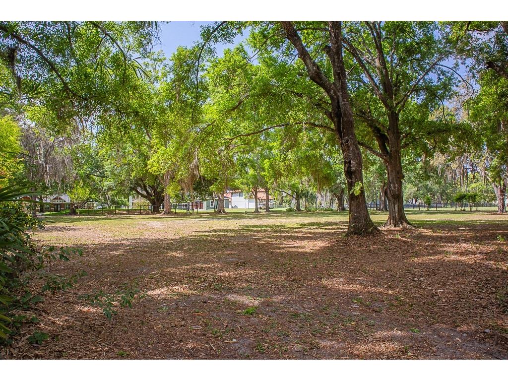 13815 Plainview Road Odessa FL 33556 TB8504016 image27