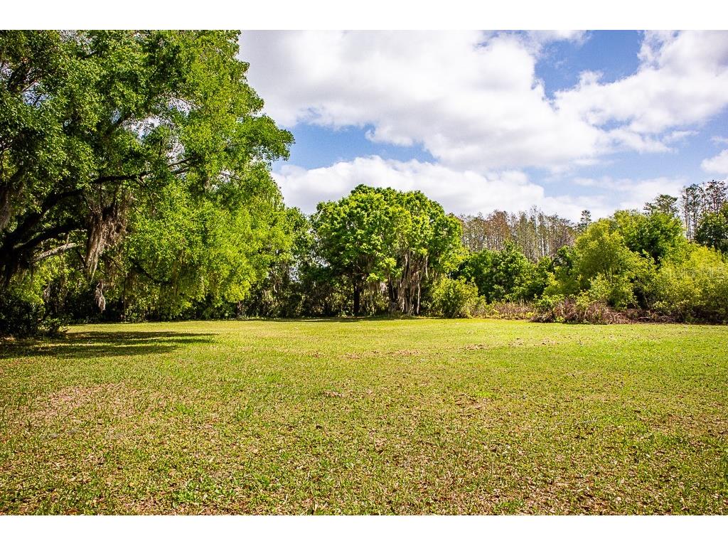 13815 Plainview Road Odessa FL 33556 TB8504016 image28