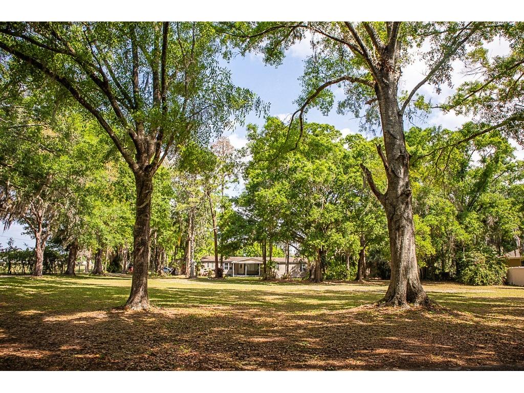 13815 Plainview Road Odessa FL 33556 TB8504016 image33