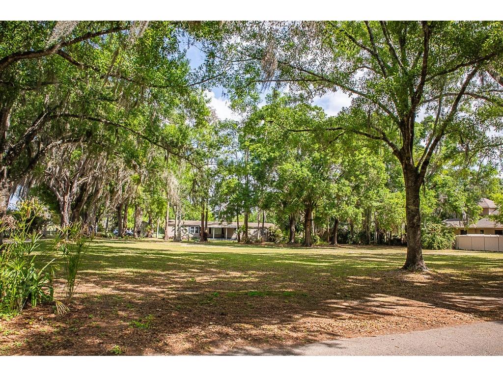 13815 Plainview Road Odessa FL 33556 TB8504016 image34
