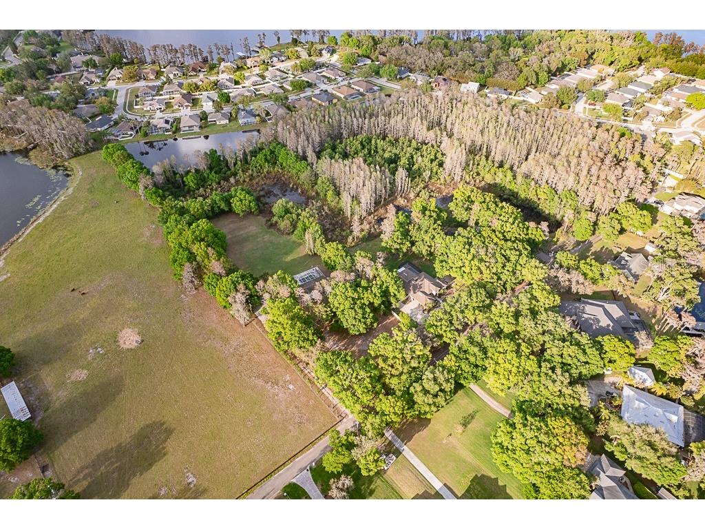 13815 Plainview Road Odessa FL 33556 TB8504016 image4