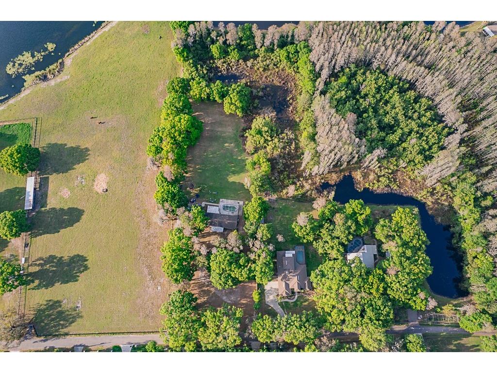 13815 Plainview Road Odessa FL 33556 TB8504016 image6