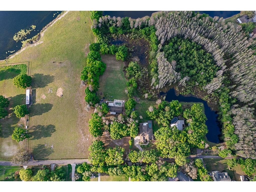 13815 Plainview Road Odessa FL 33556 TB8504016 image7