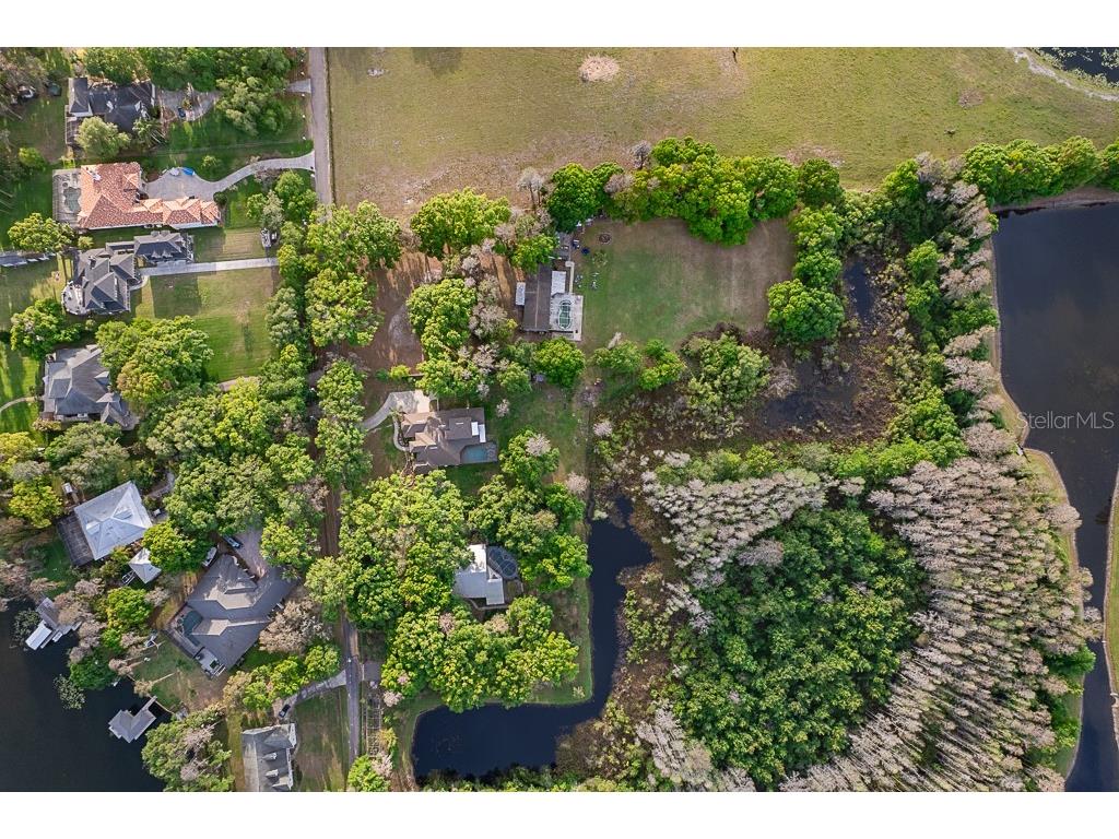 13815 Plainview Road Odessa FL 33556 TB8504016 image8