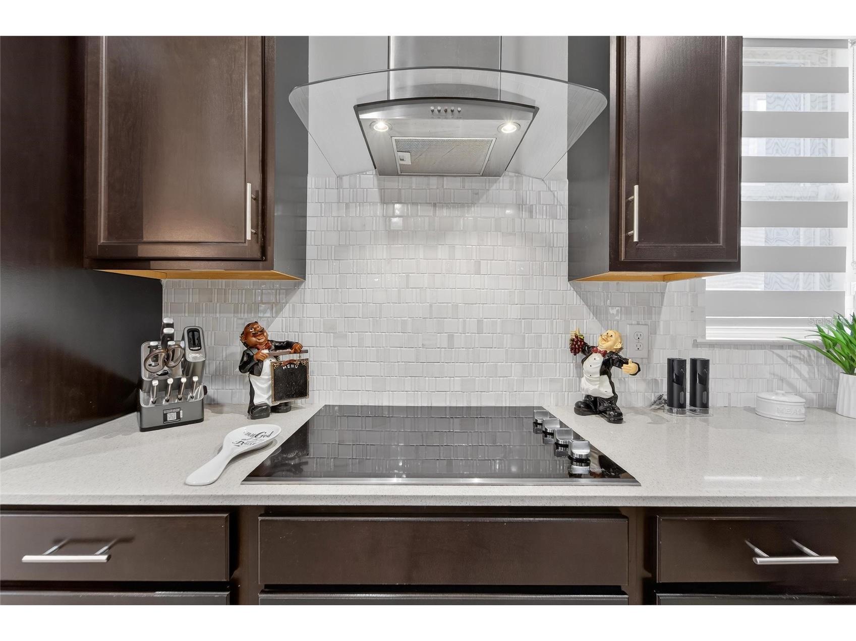 13816 Galway Sand Road Riverview FL 33579 TB8491589 image53