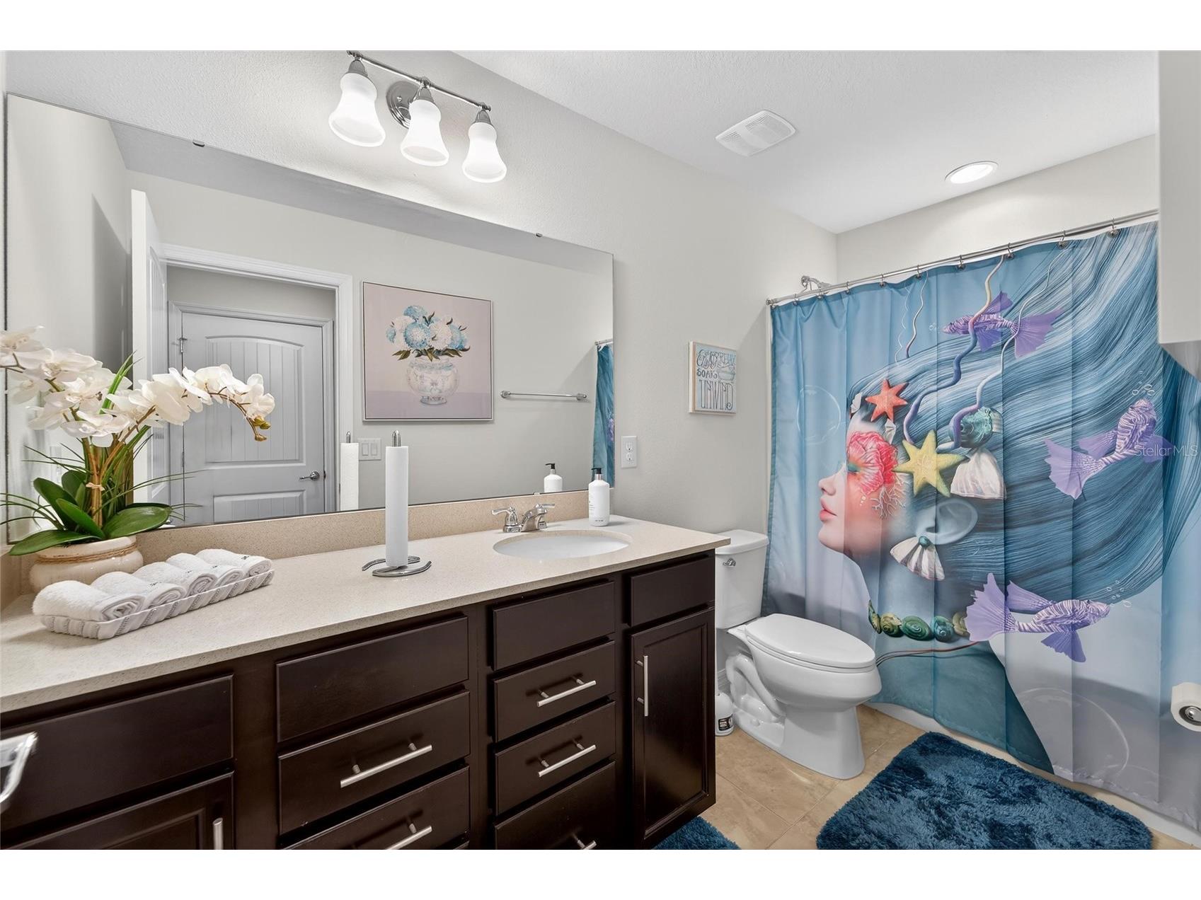 13816 Galway Sand Road Riverview FL 33579 TB8491589 image79