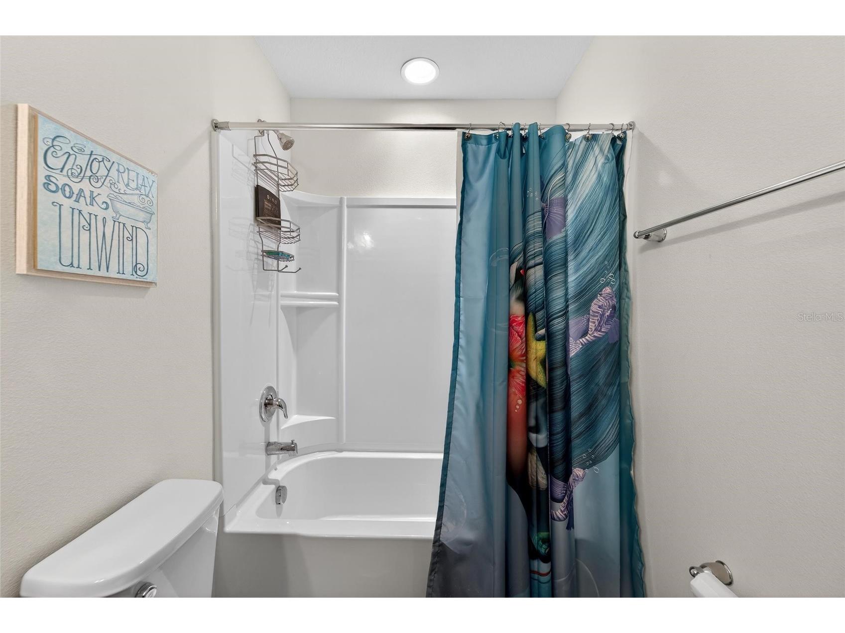 13816 Galway Sand Road Riverview FL 33579 TB8491589 image81