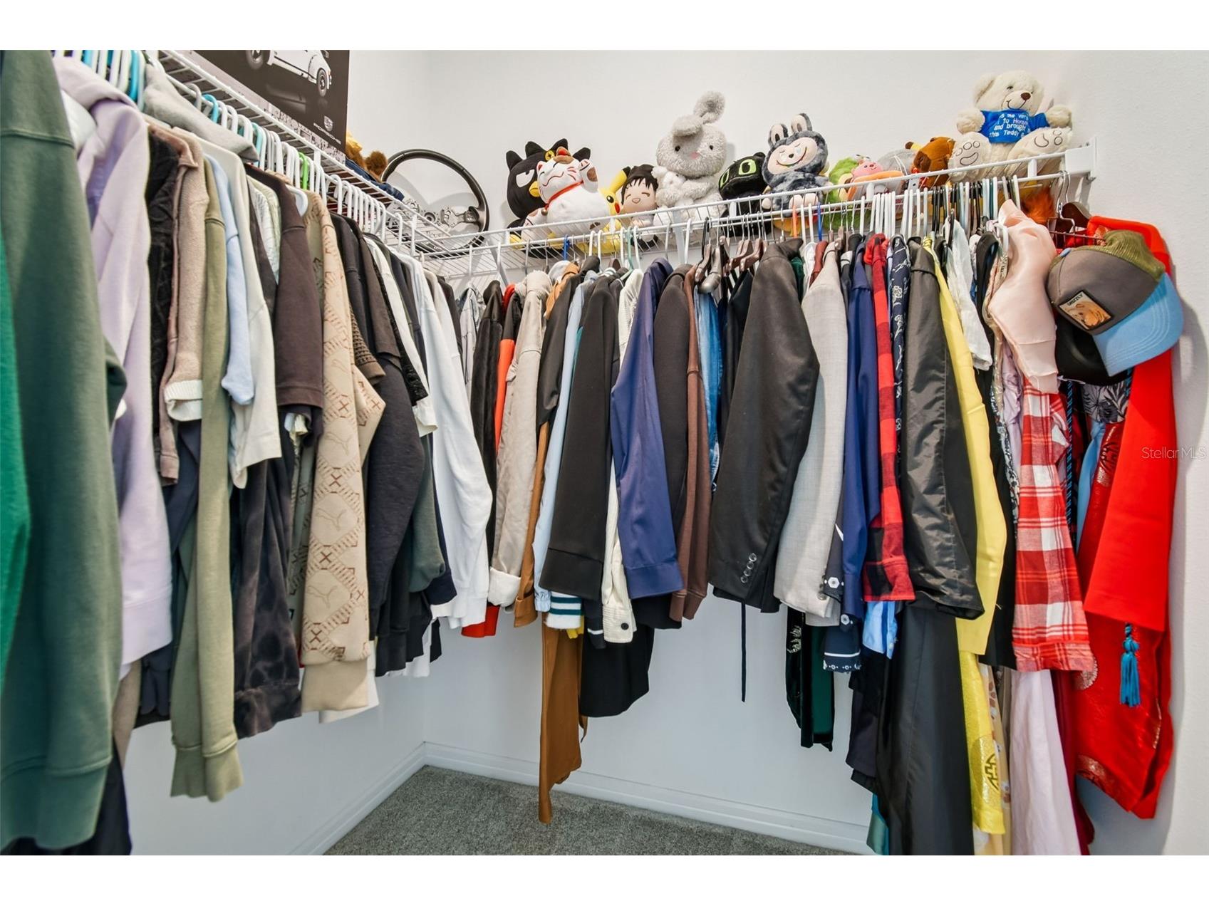 13816 Sharp Hawk Drive Riverview FL 33569 TB8472271 image56