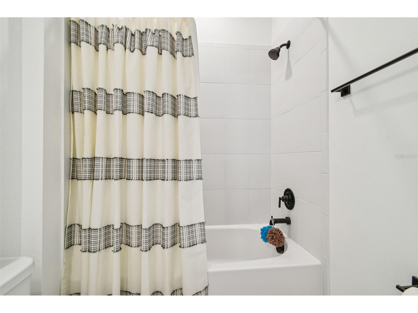 13816 Sharp Hawk Drive Riverview FL 33569 TB8472271 image59