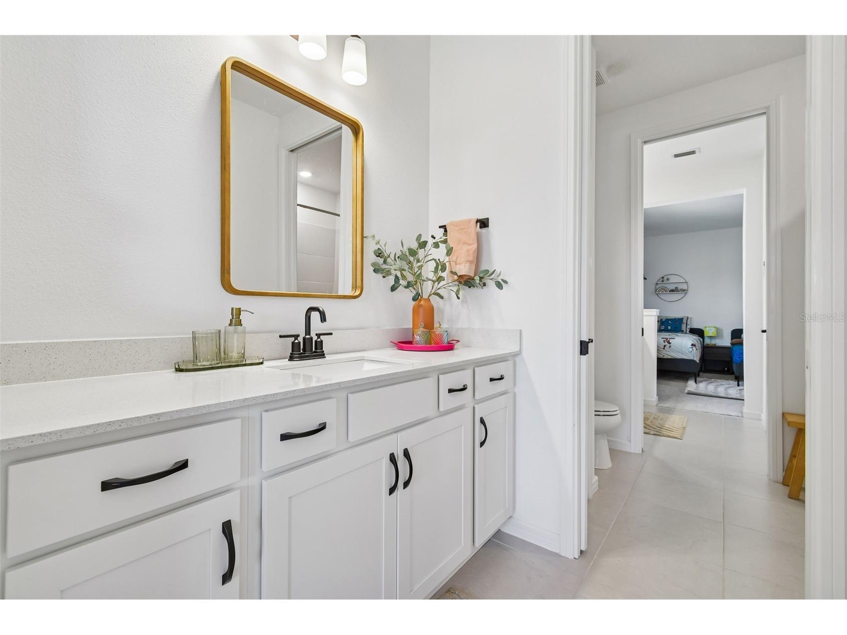 13816 Sharp Hawk Drive Riverview FL 33569 TB8472271 image66