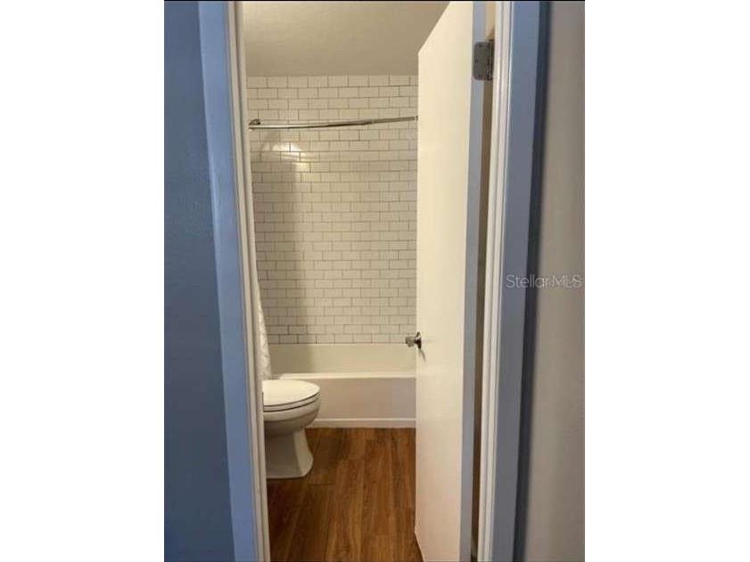 13816 Stone Mill Way Tampa FL 33613 TB8446166 image19