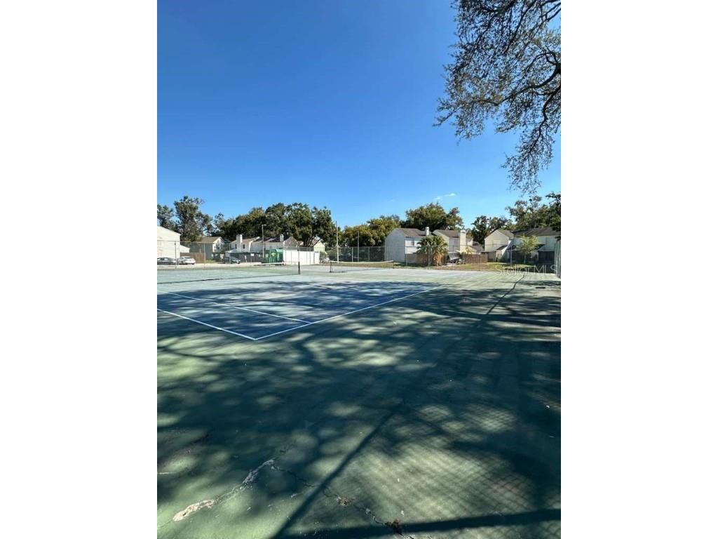 13816 Stone Mill Way Tampa FL 33613 TB8446166 image25