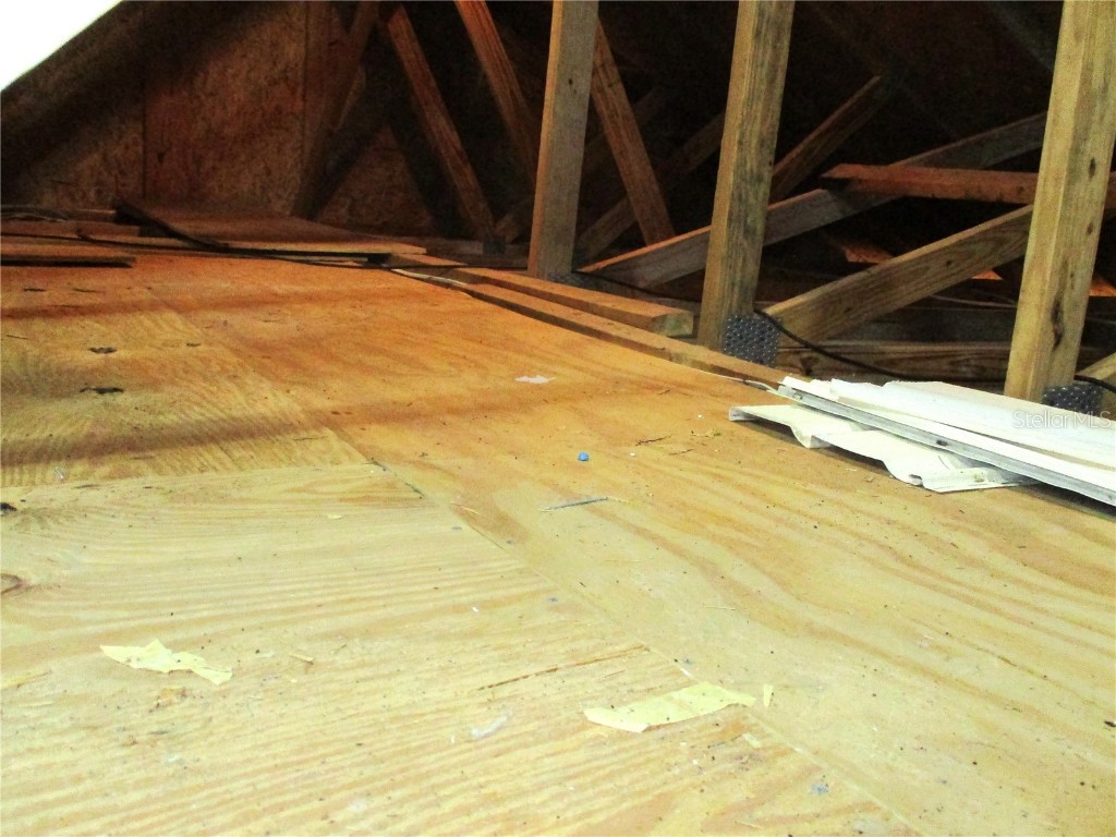 13816 SW 112th Terrace Dunnellon FL 34432 OM700754 image57