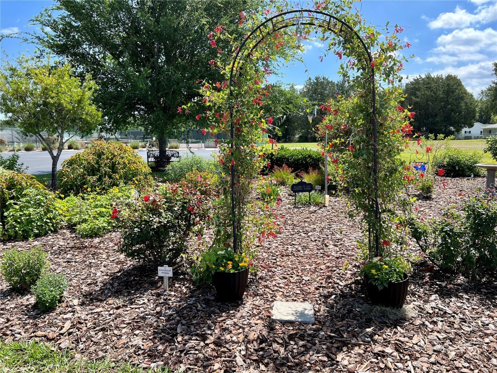 13816 SW 112th Terrace Dunnellon FL 34432 OM700754 image70