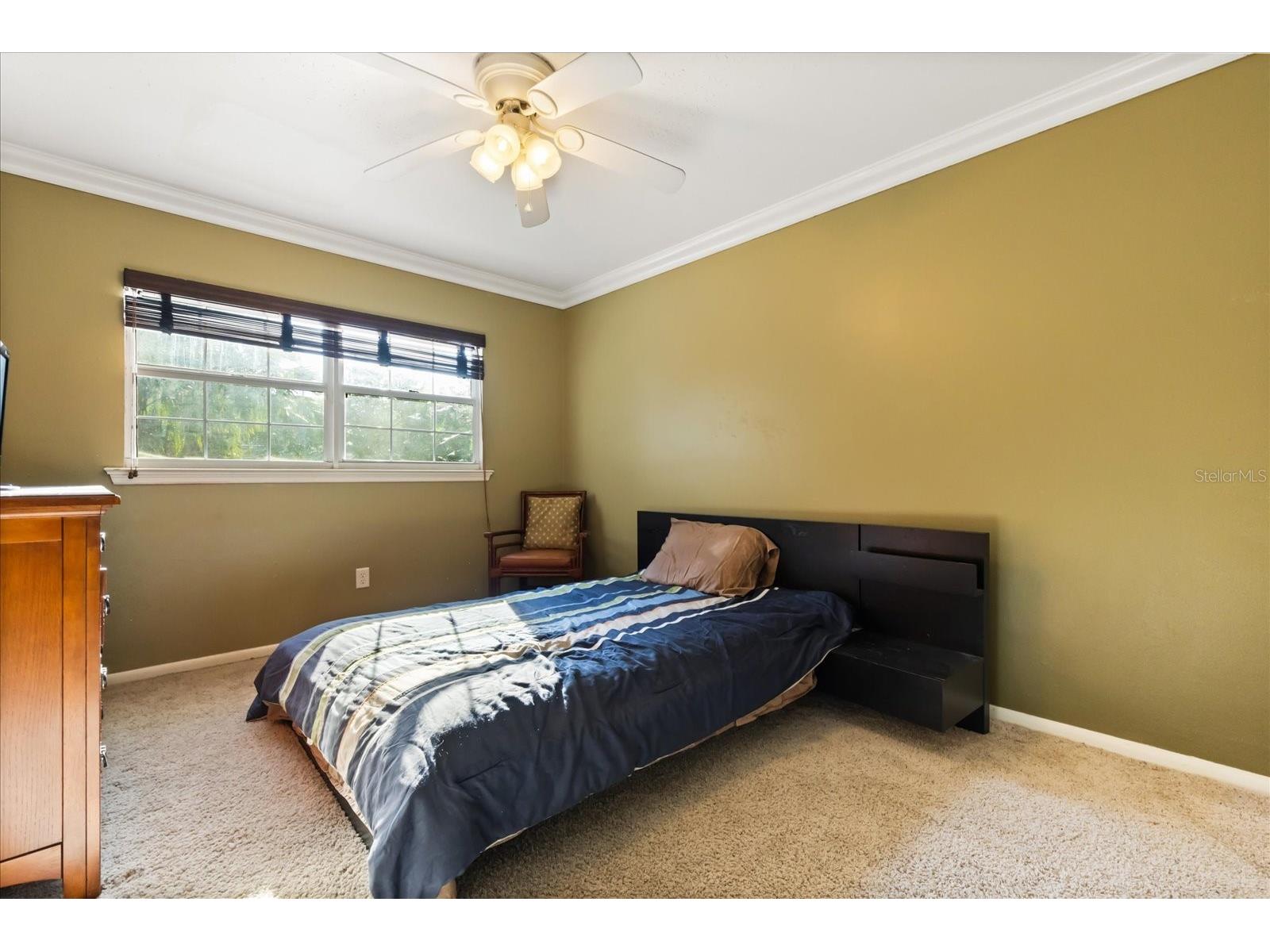 13817 Cypress Village Circle Tampa FL 33618 TB8417133 image20