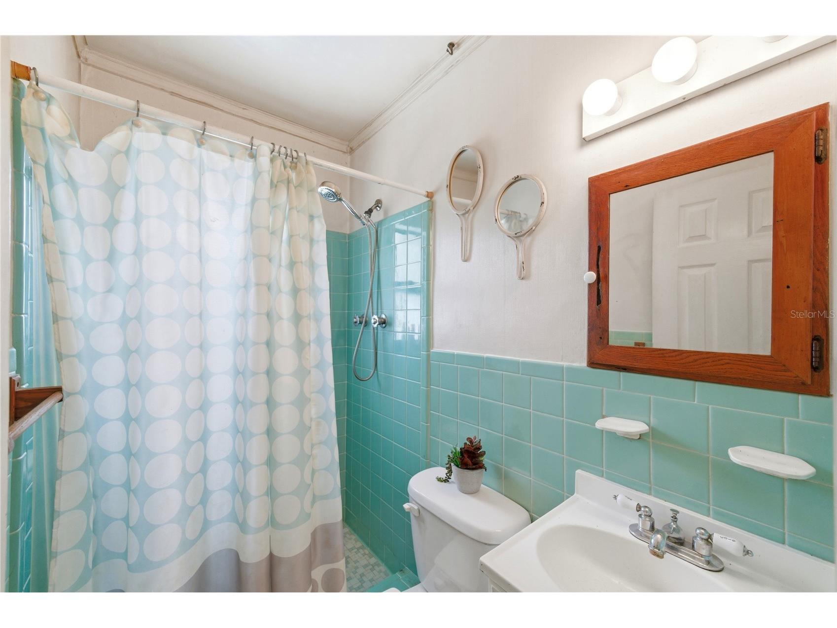 13817 Dominica Drive Seminole FL 33776 TB8516035 image6
