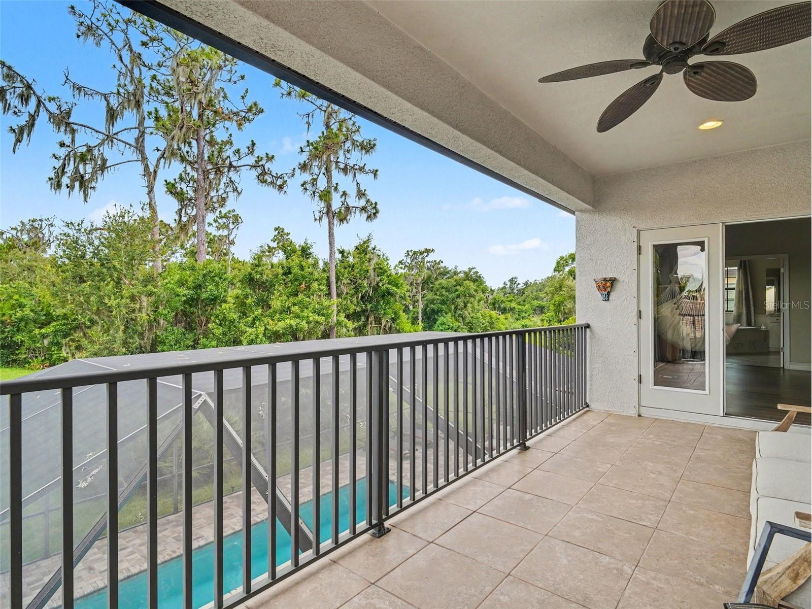 13817 Moonstone Canyon Drive Riverview FL 33579 TB8515476 image27
