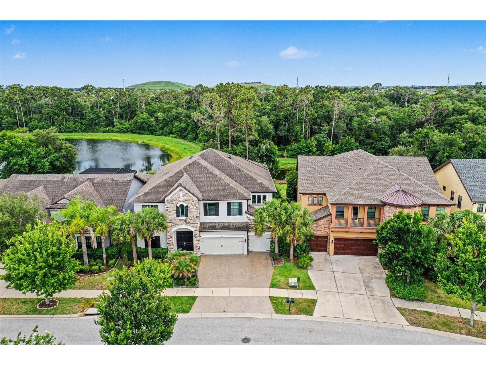 13817 Moonstone Canyon Drive Riverview FL 33579 TB8515476 image28