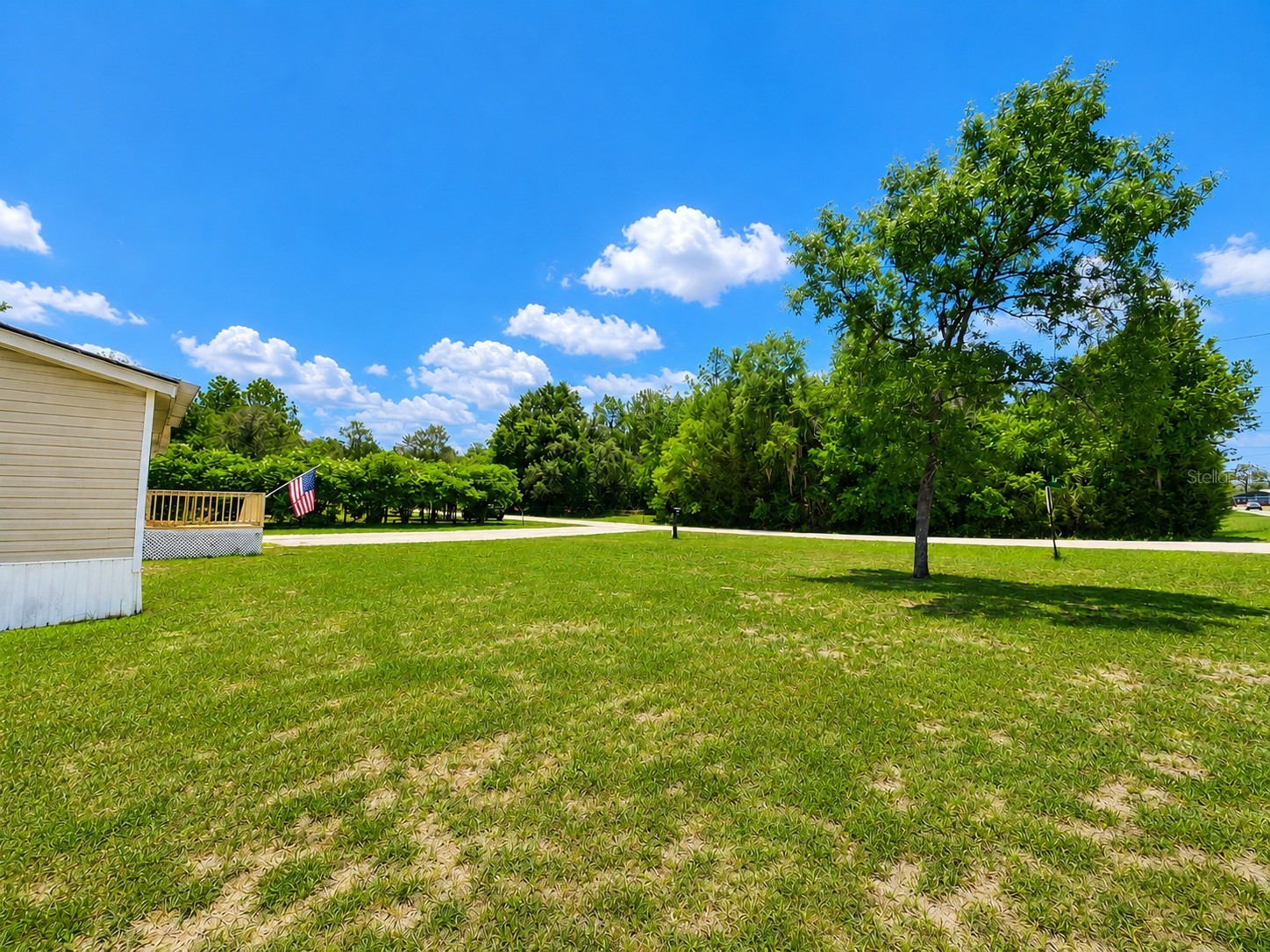 13817 NE 54th Place Williston FL 32696 OM727126 image3