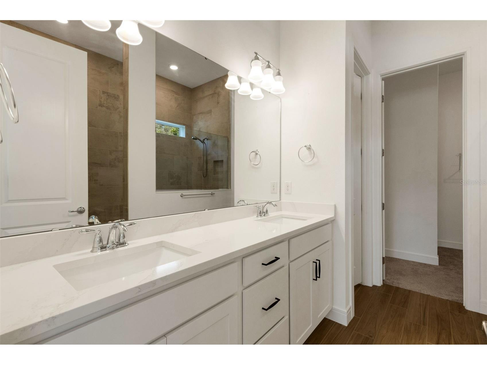 13817 Sharp Hawk Drive Riverview FL 33569 TB8511480 image11