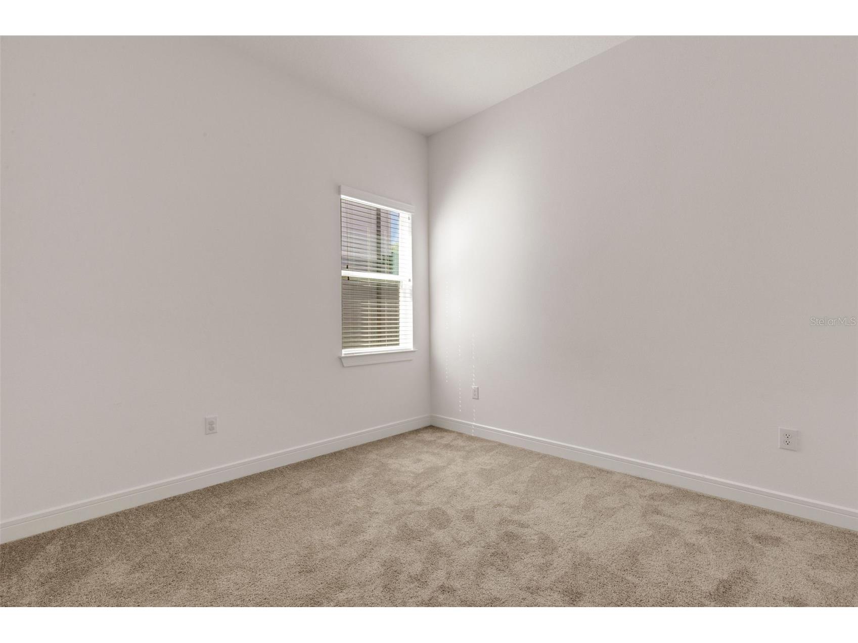 13817 Sharp Hawk Drive Riverview FL 33569 TB8511480 image15