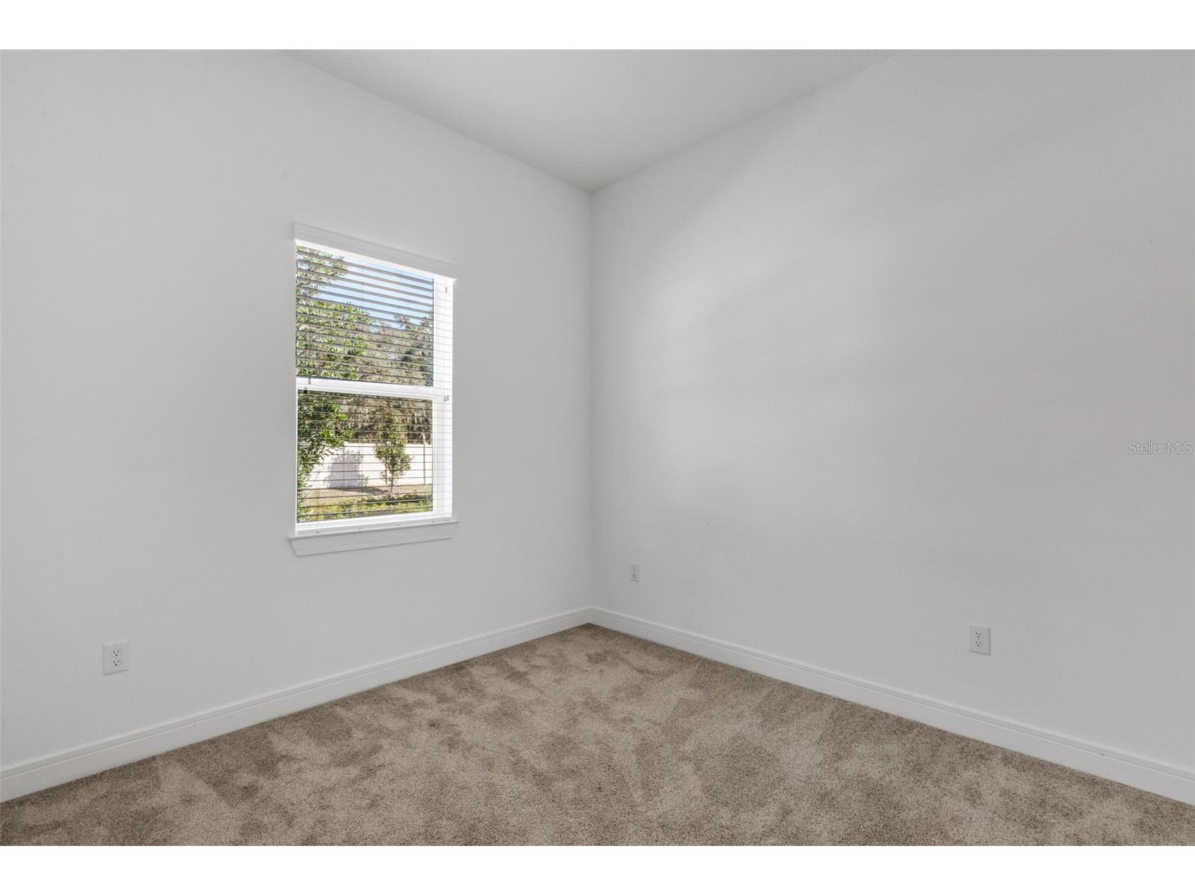 13817 Sharp Hawk Drive Riverview FL 33569 TB8511480 image19
