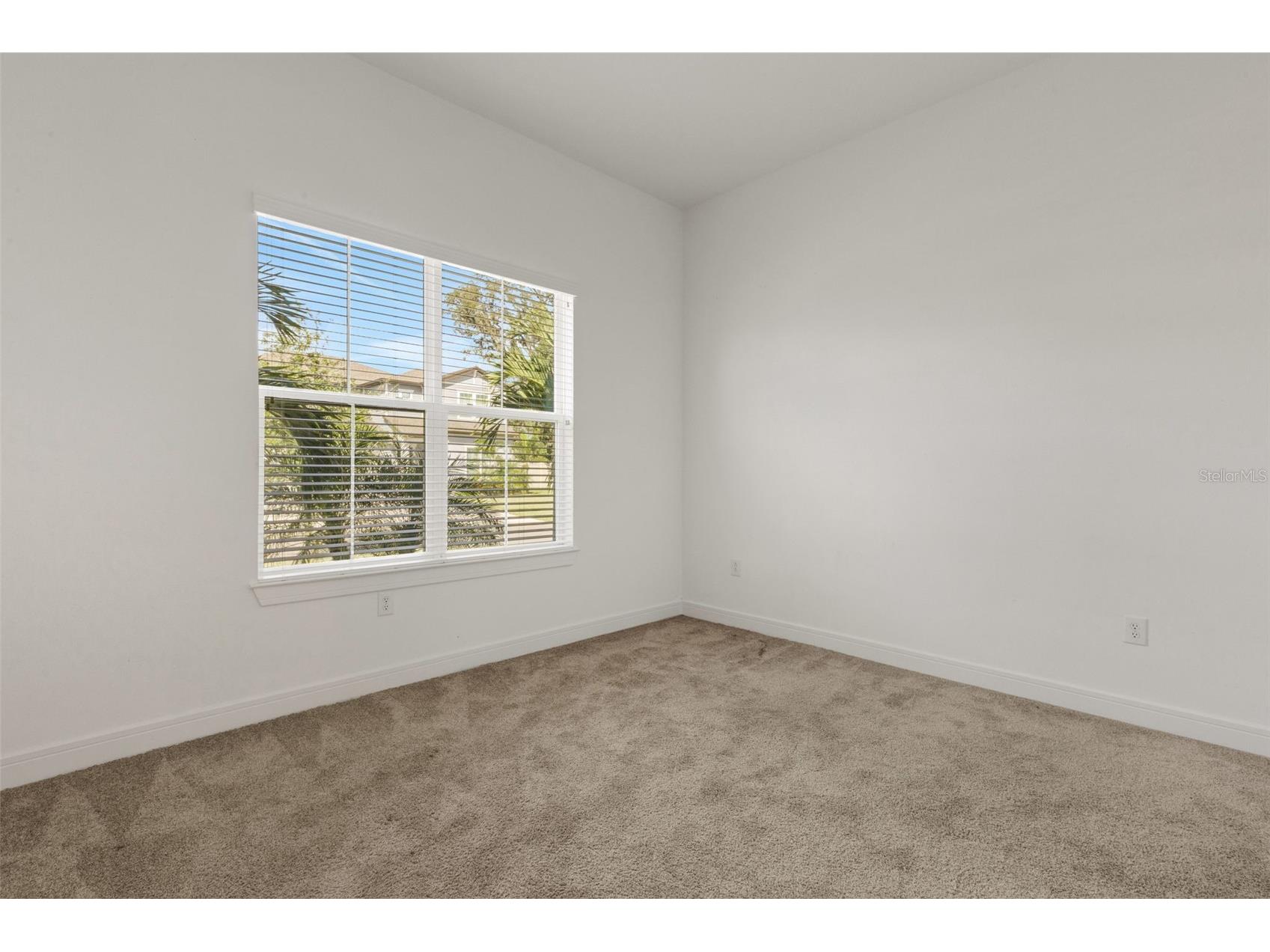 13817 Sharp Hawk Drive Riverview FL 33569 TB8511480 image20